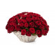 51 red roses in a basket Surprise 
