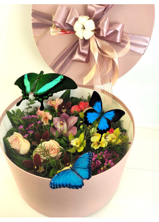 Flowers and butterfly box