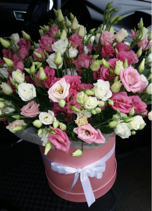 Pink eustoma in a hat box