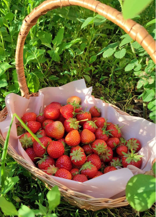 Juicy strawberries! 