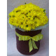 Flower mix in a hat box