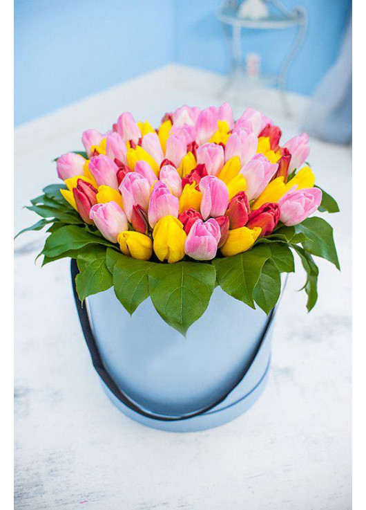 White and pink tulips in a box
