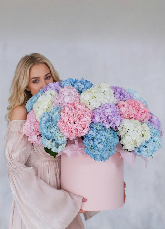 Big box with hydrangea