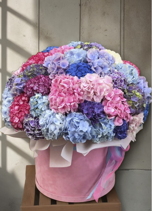 Big box with hydrangea