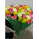 51 multicolored roses