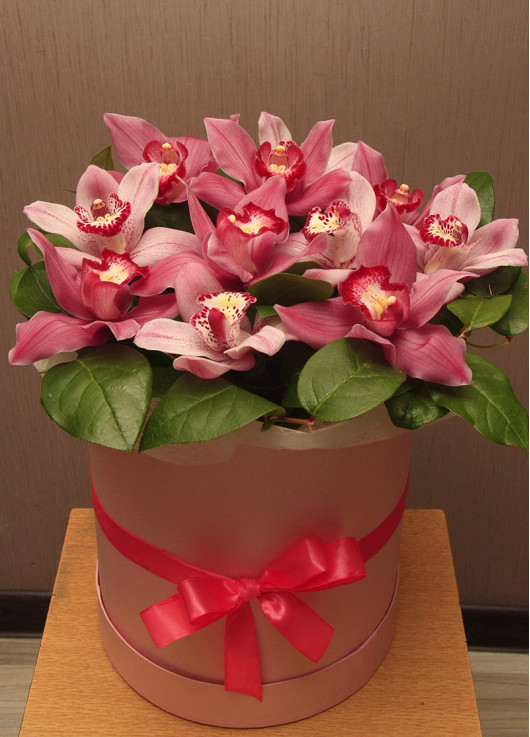 Orchids in a hat box