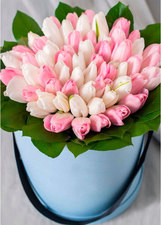 White and pink tulips in a box