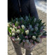 51 tulips in a hat box