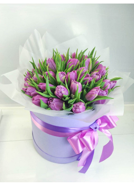 Violet tulips in a hat box