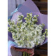 Bouquet of white mattiolla