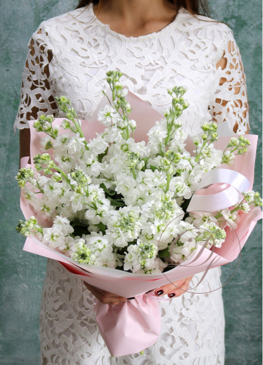 Bouquet of white mattiolla