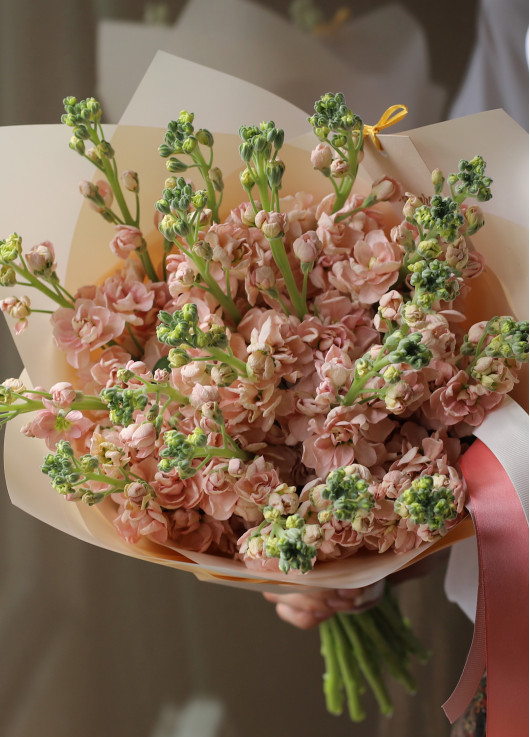 Bouquet of cream mattiolla