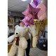 For my love set: teddy bear, roses baloons