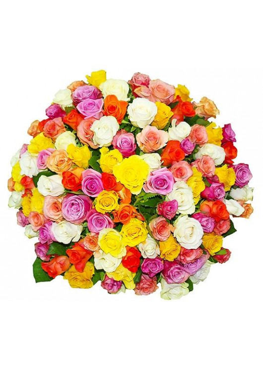 101 multi-colored roses