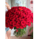 101 red roses 