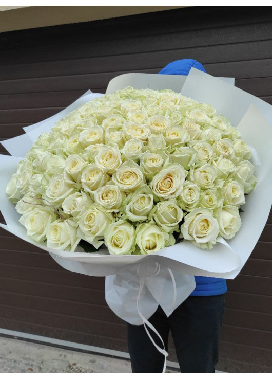 101 white rose "Classic"