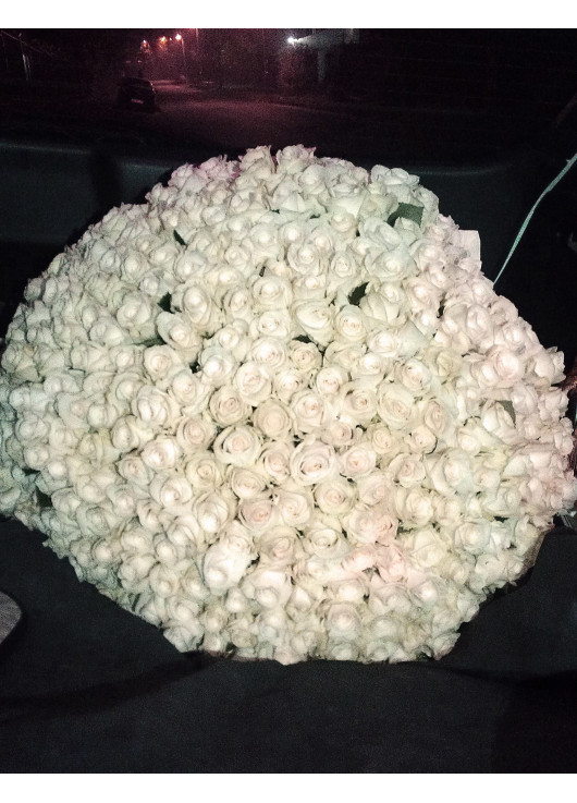 301 white roses