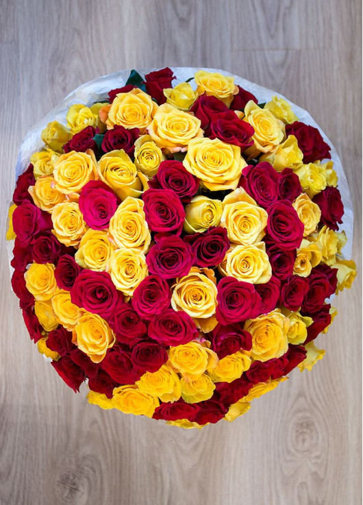 Helios 51 yellow and red roses