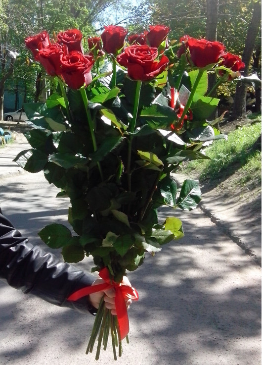 Red roses by pieces