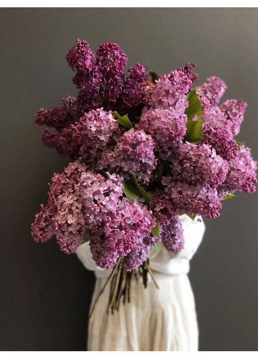 Giant bouquet of lilac