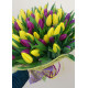 Rainbow spring 101 tulips