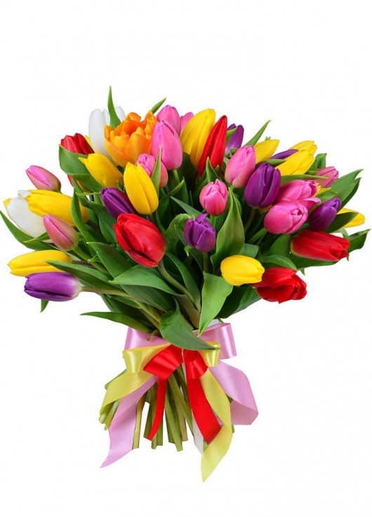 Bouquet of mix tulips