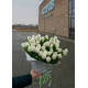 Bouquet of 51 white tulips