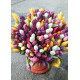 Bouquet of mix tulips