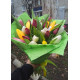 Bouquet of mix tulips