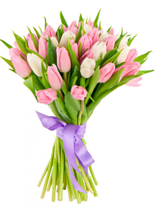 Bouquet white and pink tulips
