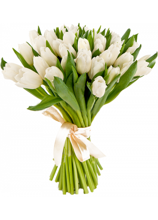 Bouquet white tulips