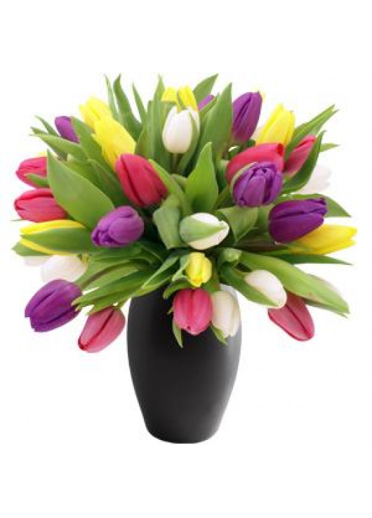 Bouquet of mix tulips