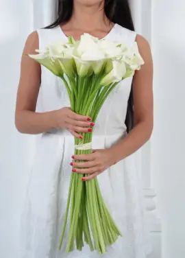 White calla
