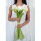 White calla