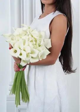 White calla