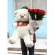 19 roses + big bear 19 roses + big bear