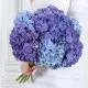 Hydrangea