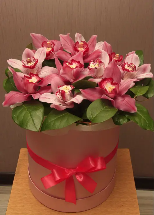 Orchids mix in a hat box Orchids mix in a hat box
