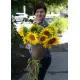 Sunflowers bouquette Sunflowers bouquette