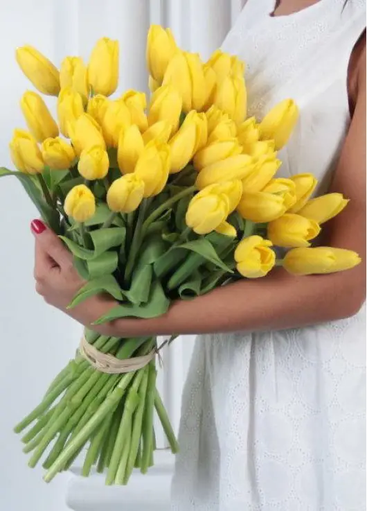 Bouquet yellow tulips