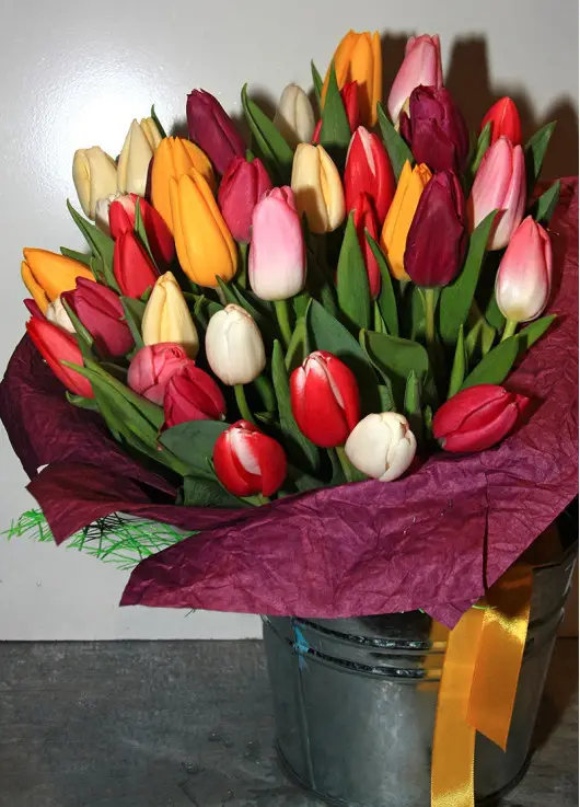 Bouquet of mix tulips Bouquet of mix tulips