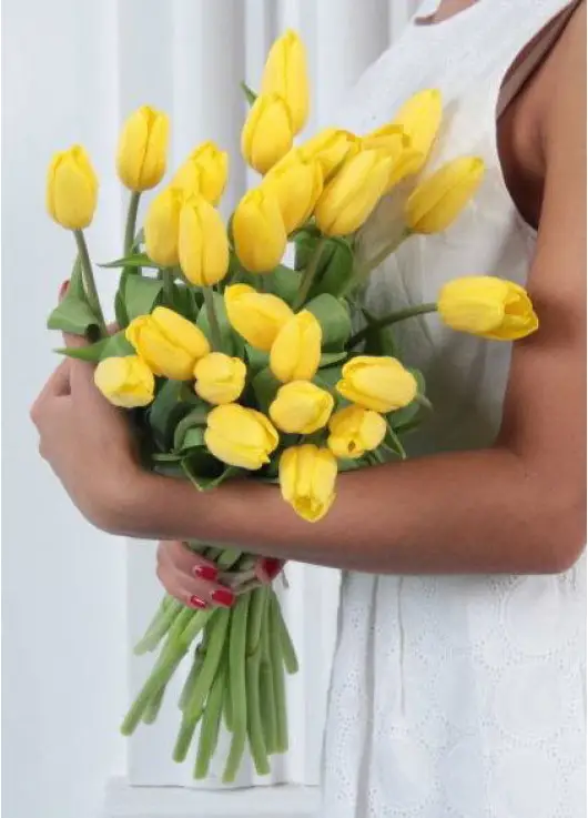 Bouquet yellow tulips