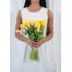 Bouquet yellow tulips