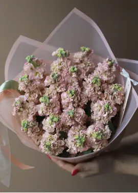Bouquet of cream mattiolla