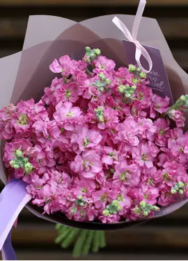 Bouquet of pink mattiolla