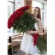 Huge roses 150-180 cm