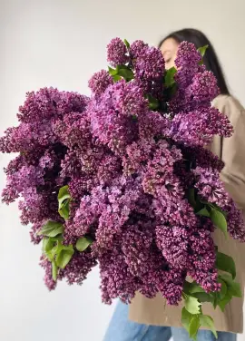 Bouquet of lilacs "Spring feelings"