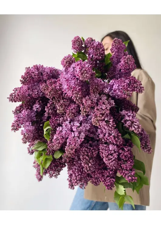 Bouquet of lilacs "Spring feelings"