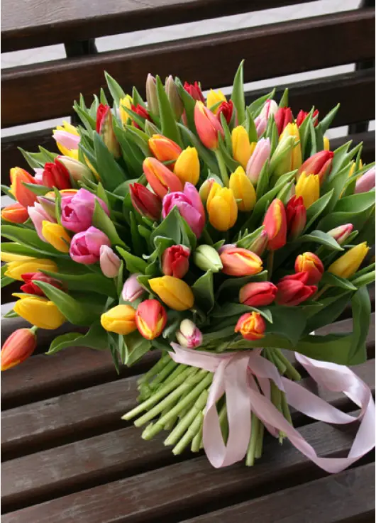 Rainbow spring 101 tulips