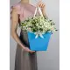 Alstroemeria in a handbag Alstroemeria in a handbag